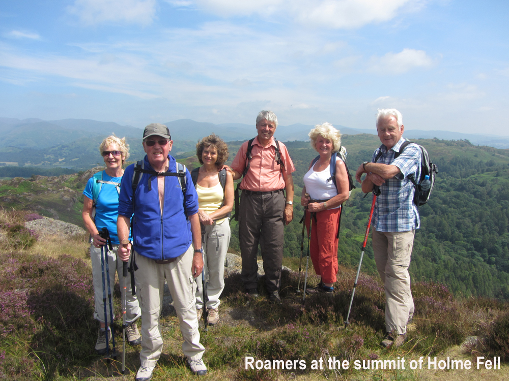 Roamers on Holme Fell in Cumbria pic